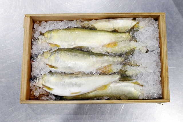 鮎 アユ の旬は 鮎の美味しい食べ方は 鮎を学ぶ 現役スーパー店員 Masato のスーパーマーケット 魚に まつわるエトセトラ